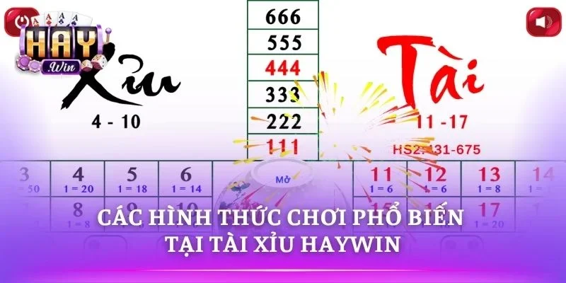 Tài xỉu HAYWIN đa dạng hình thức giải trí trực tuyến