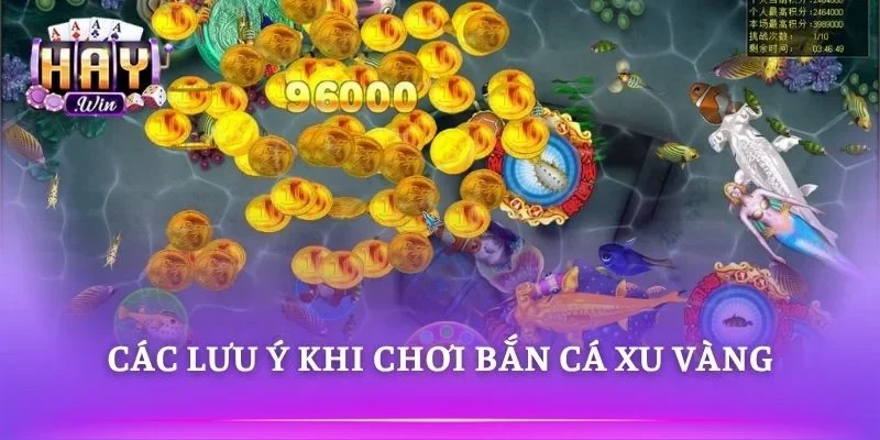 Kinh nghiệm quản lý xu cược hiệu quả 