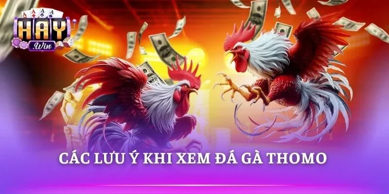 Kết nối mạng ổn định giúp theo dõi trận đấu mượt hơn 