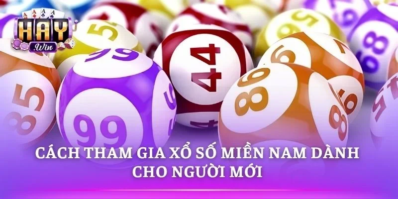 Cách chọn số và đặt cược đơn giản dễ hiểu 