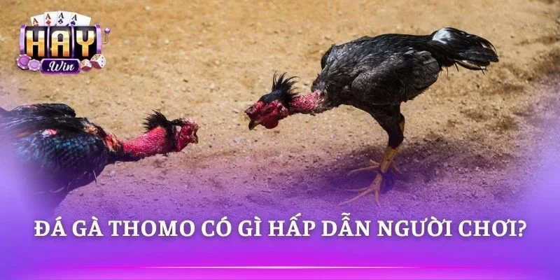 Nhiều trận đấu kịch tính phát sóng liên tục mỗi ngày 