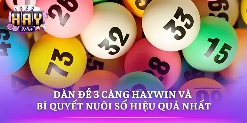 Dàn Đề 3 Càng HAYWIN Và Bí Quyết Nuôi Số Hiệu Quả Nhất