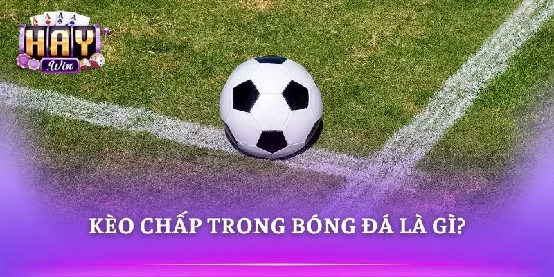 Người chơi tìm hiểu cách đọc tỷ lệ kèo bóng đá chuẩn 