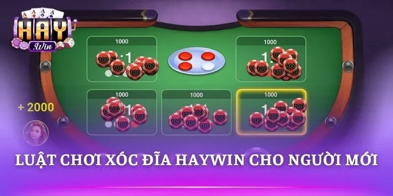 Người chơi tìm hiểu cách đặt cược và tính kết quả chuẩn 