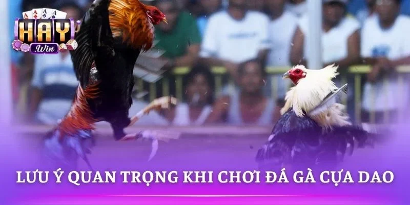 Kinh nghiệm tham gia cược an toàn hiệu quả 