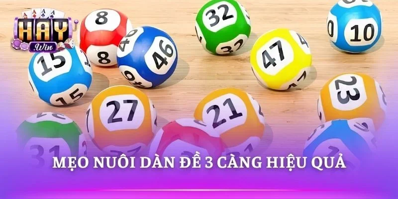 Mẹo nuôi Dàn đề 3 càng giúp tối ưu tỷ lệ chiến thắng 