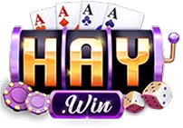 haywin.casino